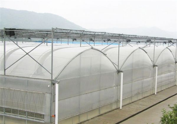 山東連棟薄膜大棚建設廠家