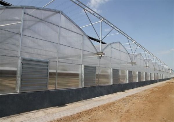 山東連棟薄膜大棚建設(shè)廠家