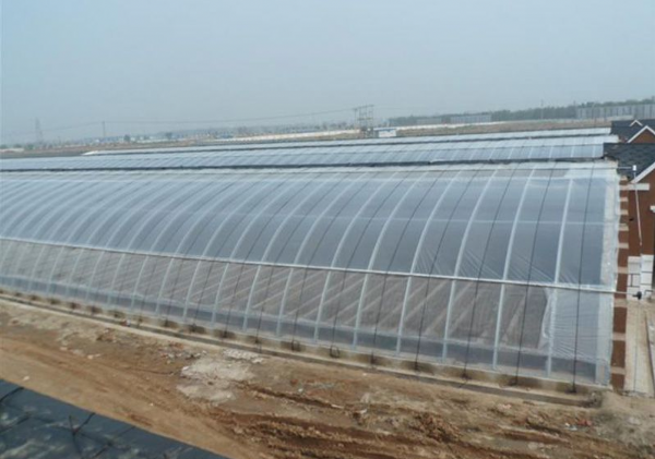 山東溫室大棚廠家