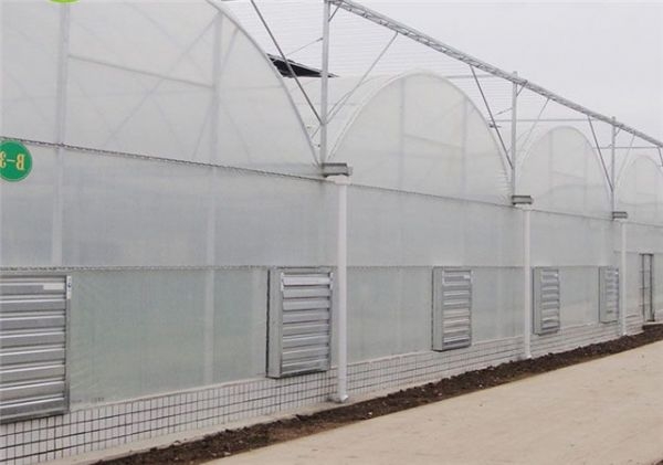 山東連棟薄膜大棚建設(shè)廠家