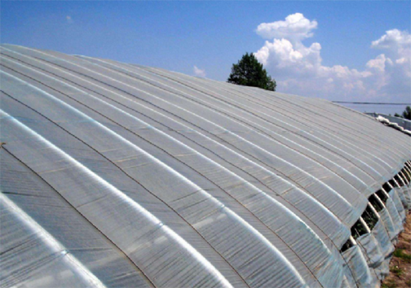 山東日光溫室大棚施工廠家