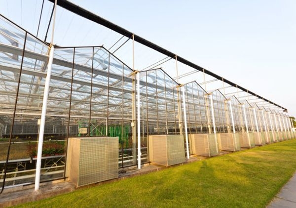 山東溫室大棚廠家