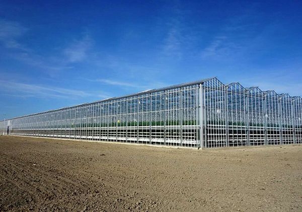 山東玻璃溫室廠家