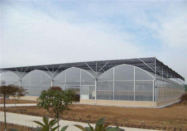 山東連棟薄膜大棚建設(shè)廠家
