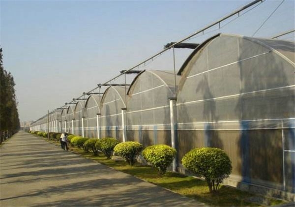 山東溫室大棚廠家