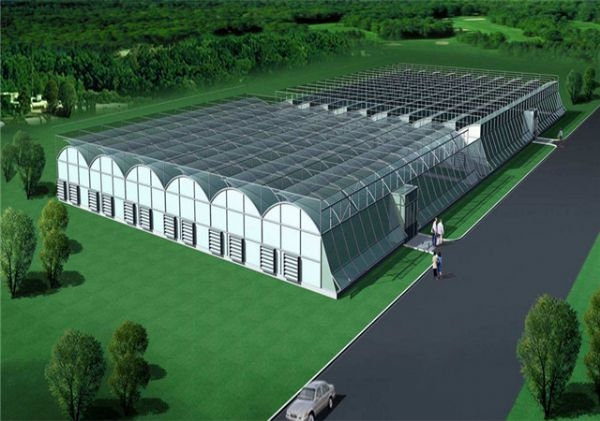 山東智能溫室大棚廠家